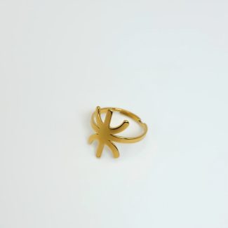 Ring Stainless steel Z